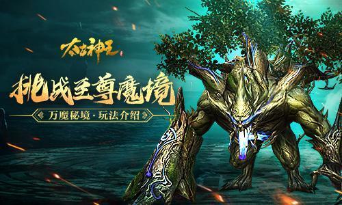 雨后盛放